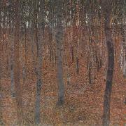 Gustav Klimt Beech Forest I (mk20) oil painting on canvas